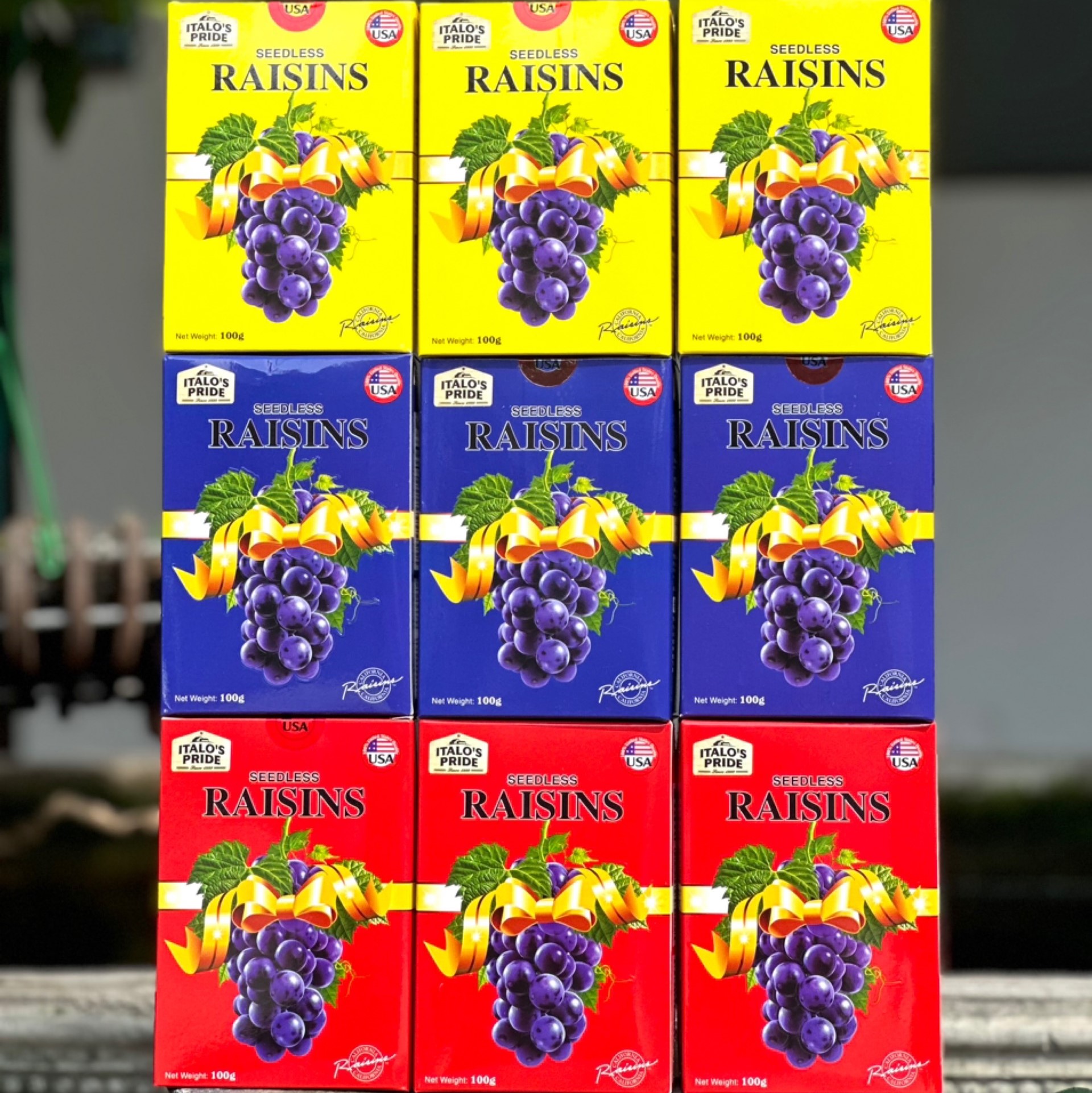 NHO KHÔ RAISINS 100G 